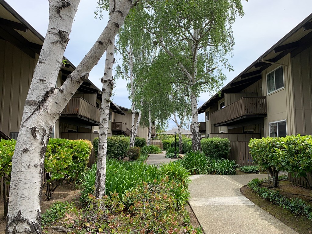Sylvan Square Apartments, 750 Sylvan Avenue, Mountain View, CA RentCafe